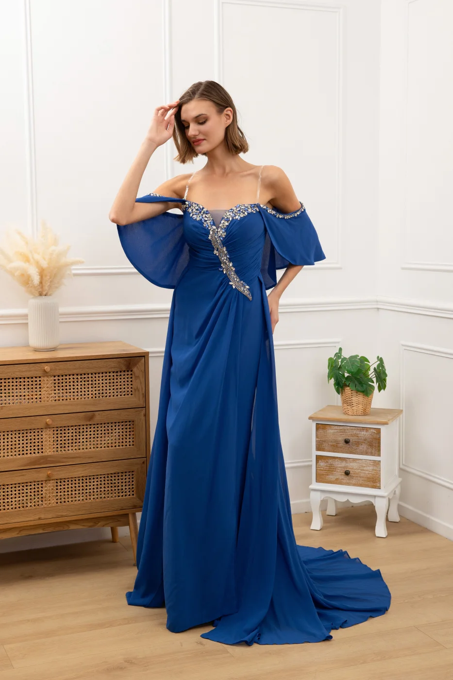 Long elegant Dress | Ritu