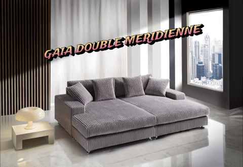 GAIA DOUBLE MÉRIDIENNES | MULTI-AFFAIRES